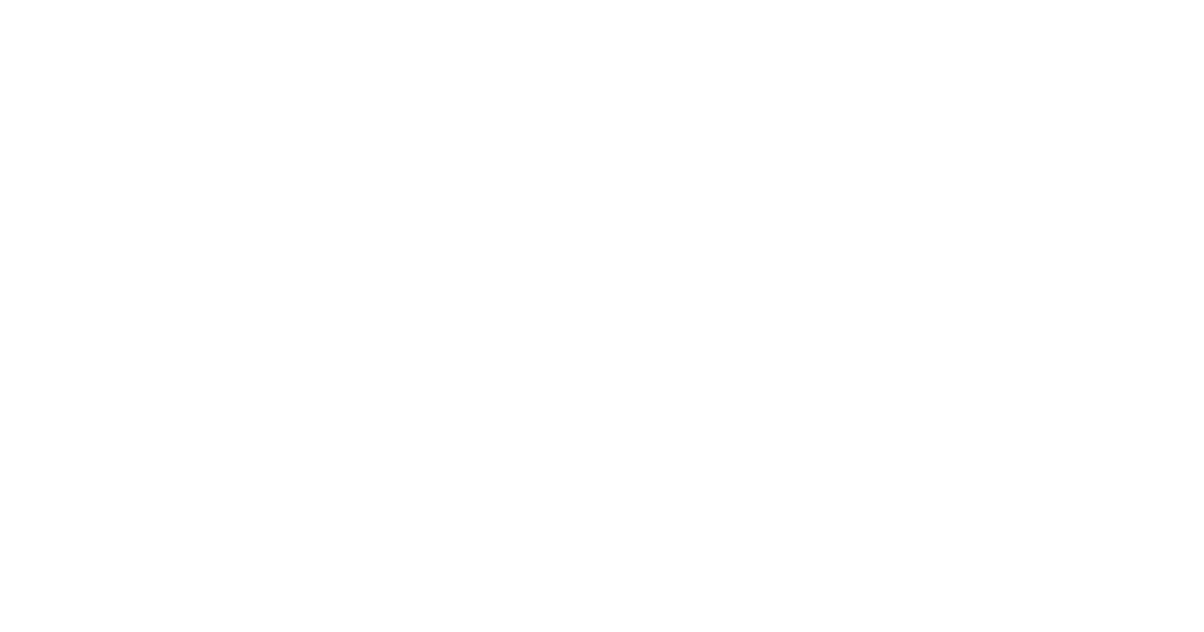 Elevate White Logo